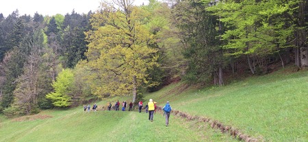 5OD SVETNIKA DO SVETNIKA 2025 (28)